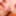 Give me pleasure Distorded