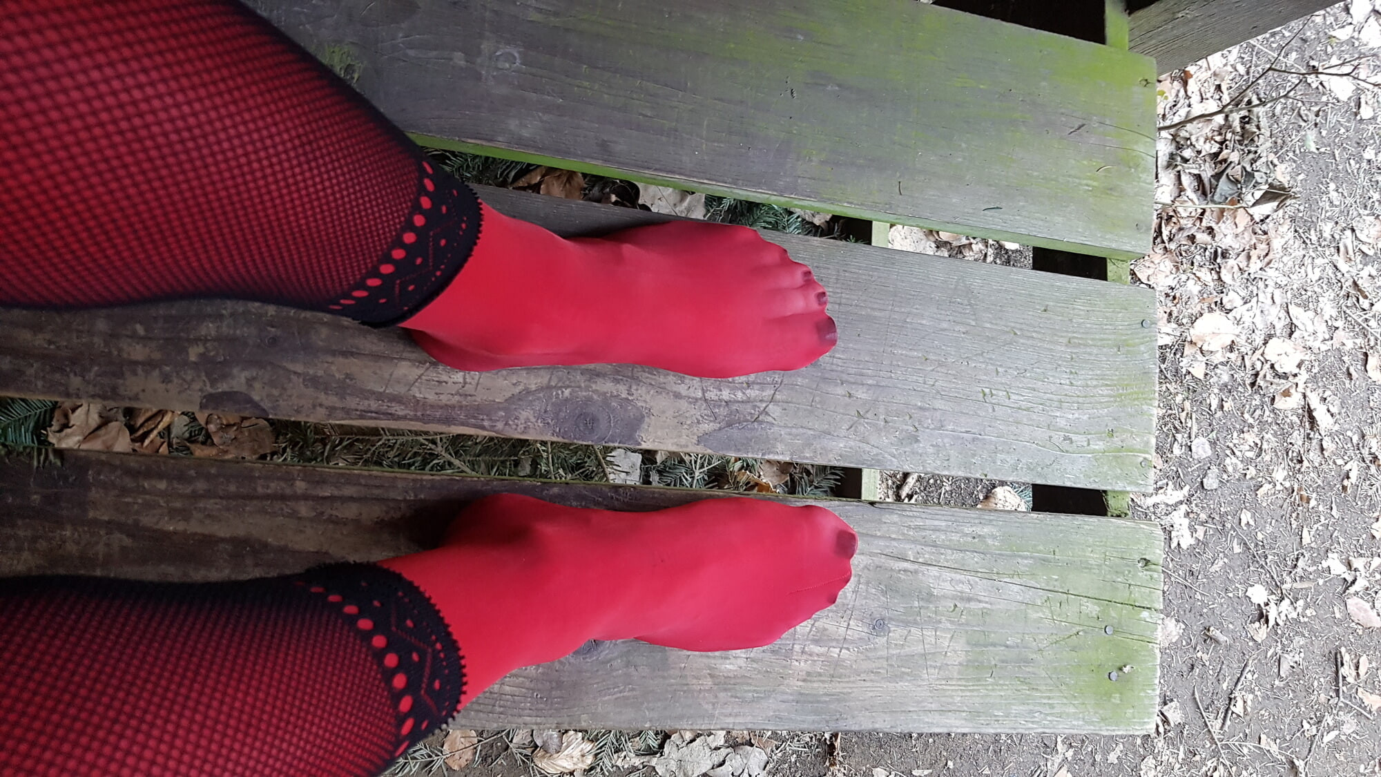 Im  Wald.