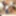 BLACK-TGIRLS: The Sweetest Surprise
