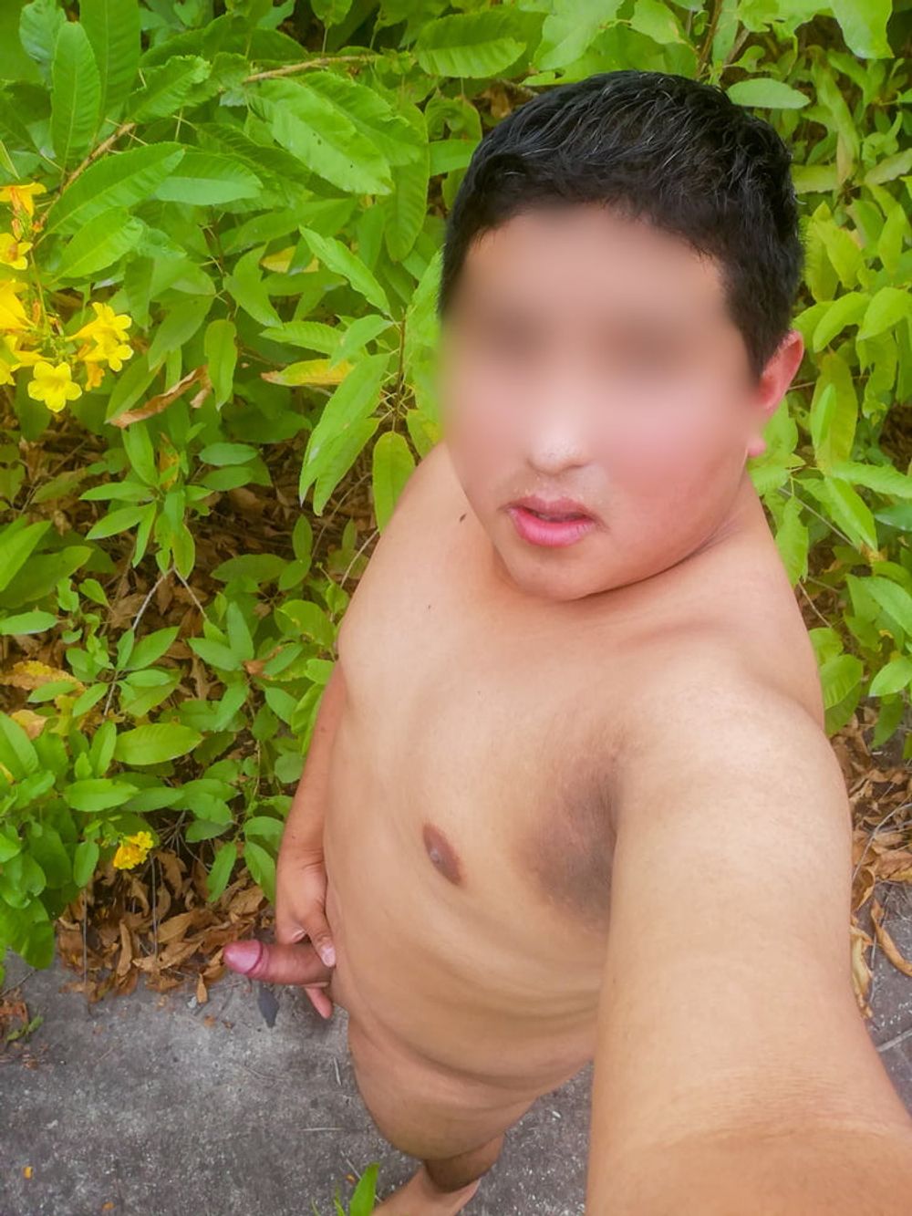 SelfiesNudes al Aire Libre (Excitado en la Calle) #7