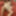 Lily Leigh&#039;s Intimate Playtime #2 (Part 3 of 4) #2