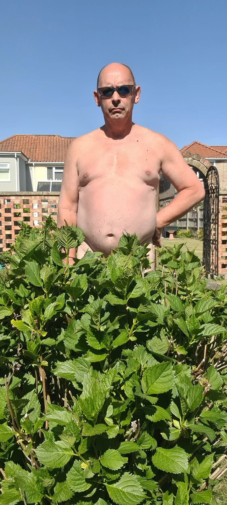 Gardening  #6
