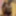 Ebony OnlyFans Model