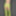 Green Mesh Lingerie #22