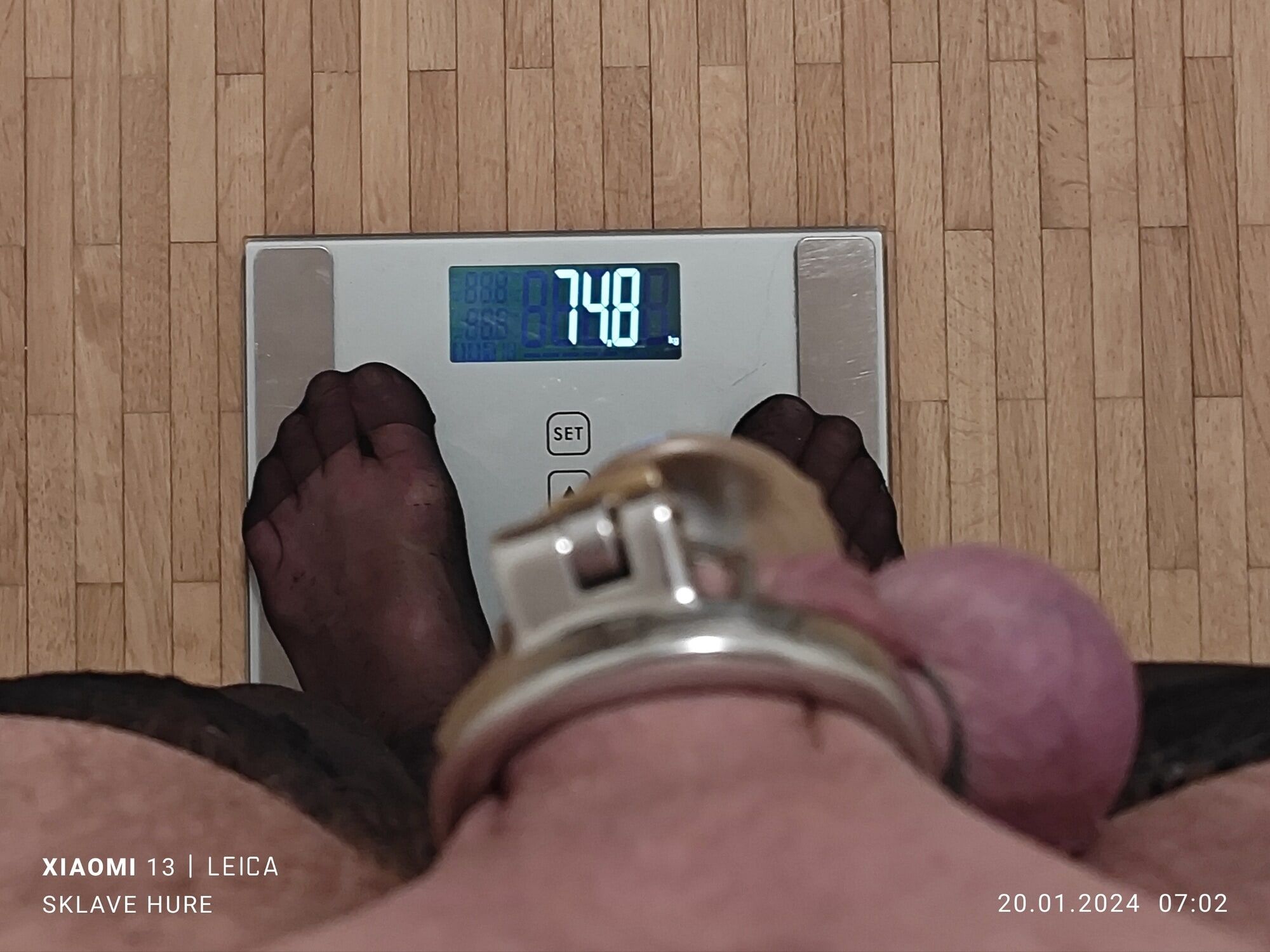 Mandatory weighing cagecheck January, 20, 2024 #10
