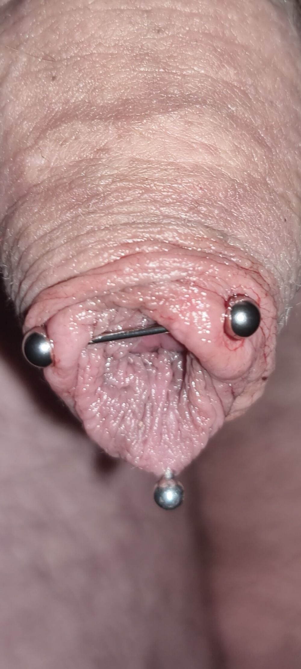 PIERCING CHASTITY #4