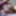 Cat Rin Free Photos