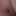 fette sau sissy mit clitty