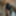 sankah_rea Free Photos