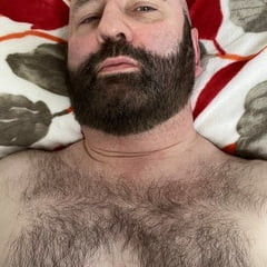 Medvjed Gaybear Tata Krzneni Dlakavi