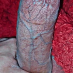 More photos of my dick😘