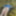 Cover up, reveal #56