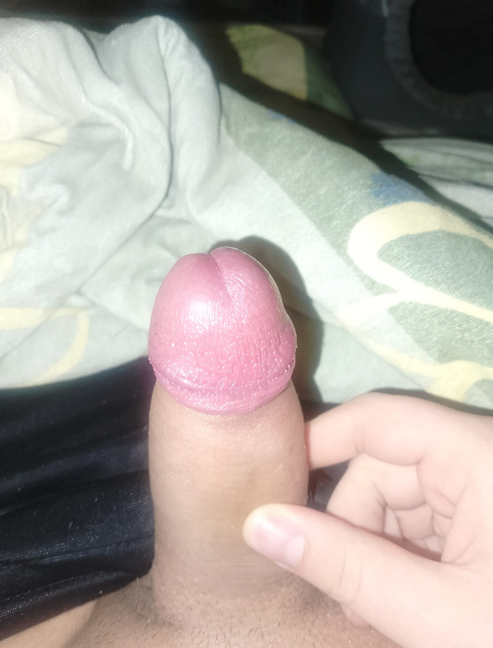 Penis  #43