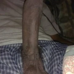 Dick gallery