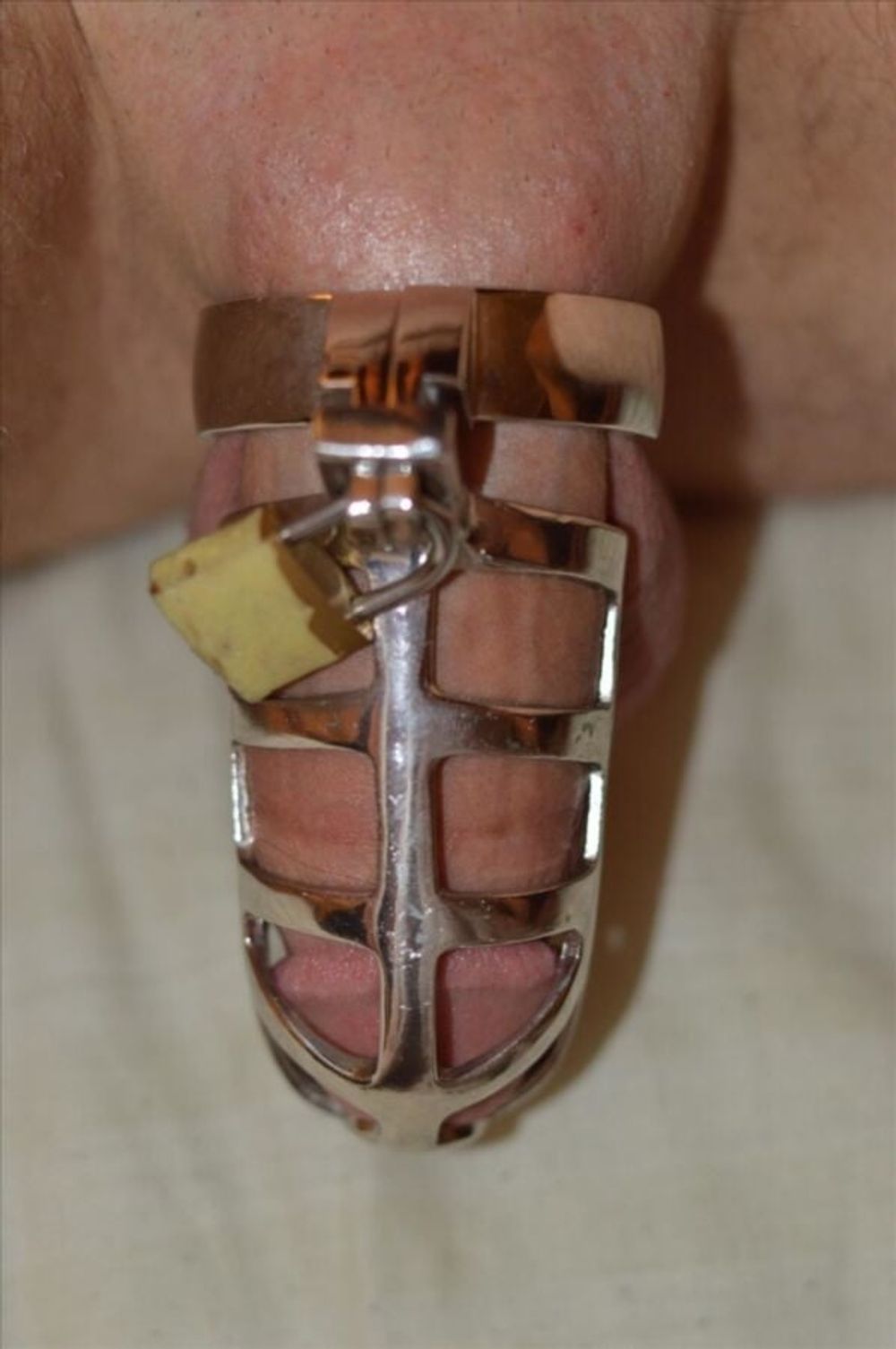 Cock in chastity #9