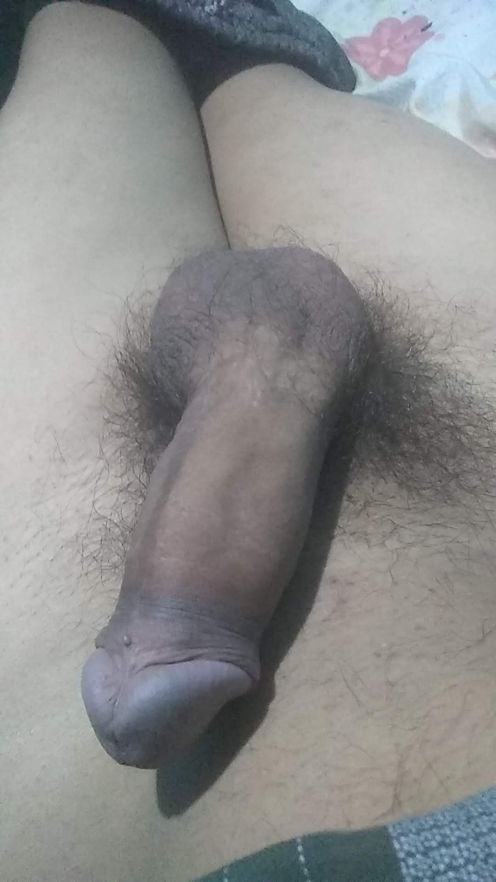 Mi compilado arcvl #5