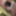 Test Gallery #13