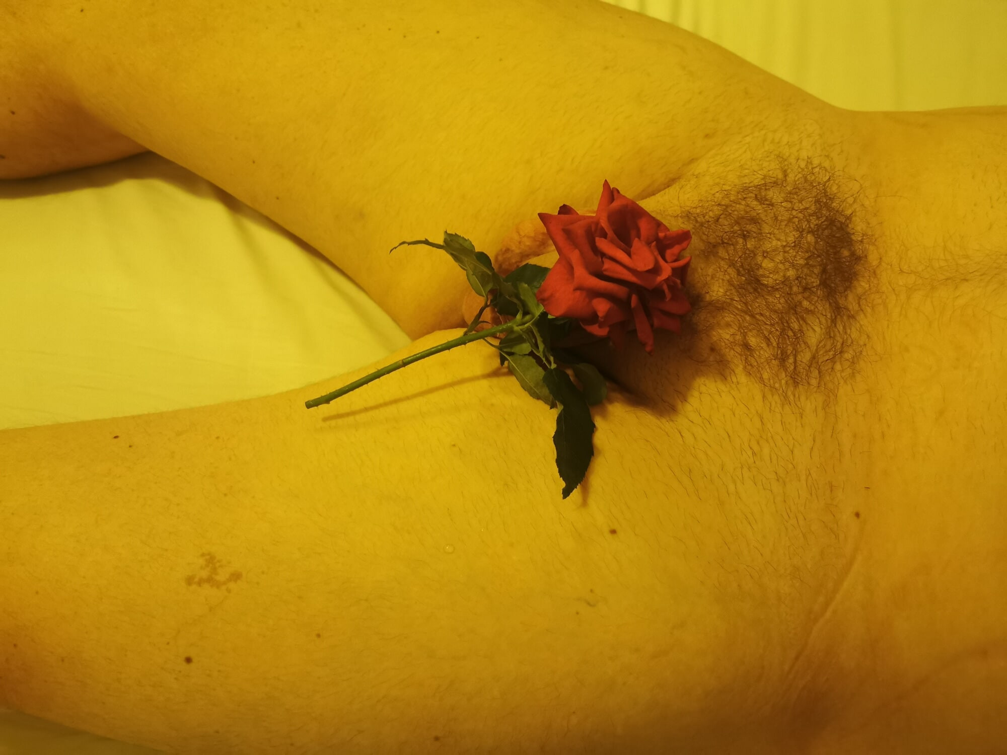 Ja sam tvoje Valentinovo 