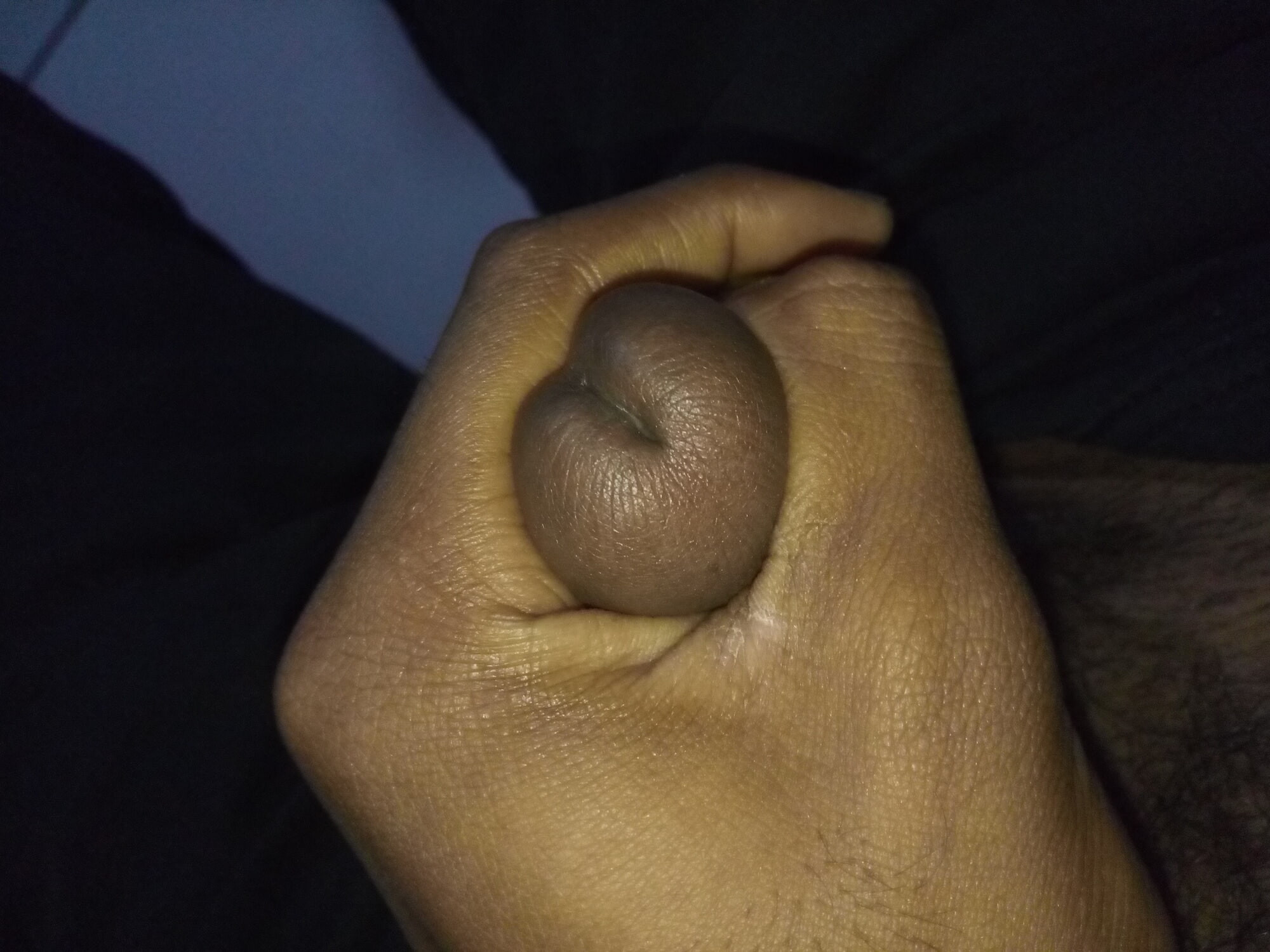 Boy black penis 