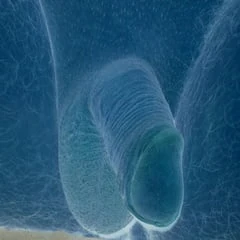 Negative pics 2