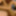 Cumshot GIFS re-uploaded :) #4