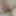  Wife Rubbing Cock