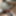Probably Don&#039;t Even Open This Gallery #26