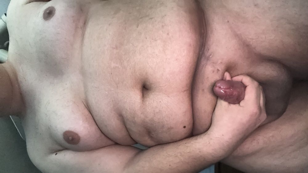 fat bear wanting cock