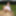 Rainy day in meadow and woman #12
