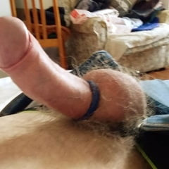 Cocks