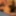 Finnish SSBBW MATURE amateur orgy - Join our fanclub!
