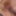 Jan 13 WEEKLY Update to DoggVision VIP Members Area #20
