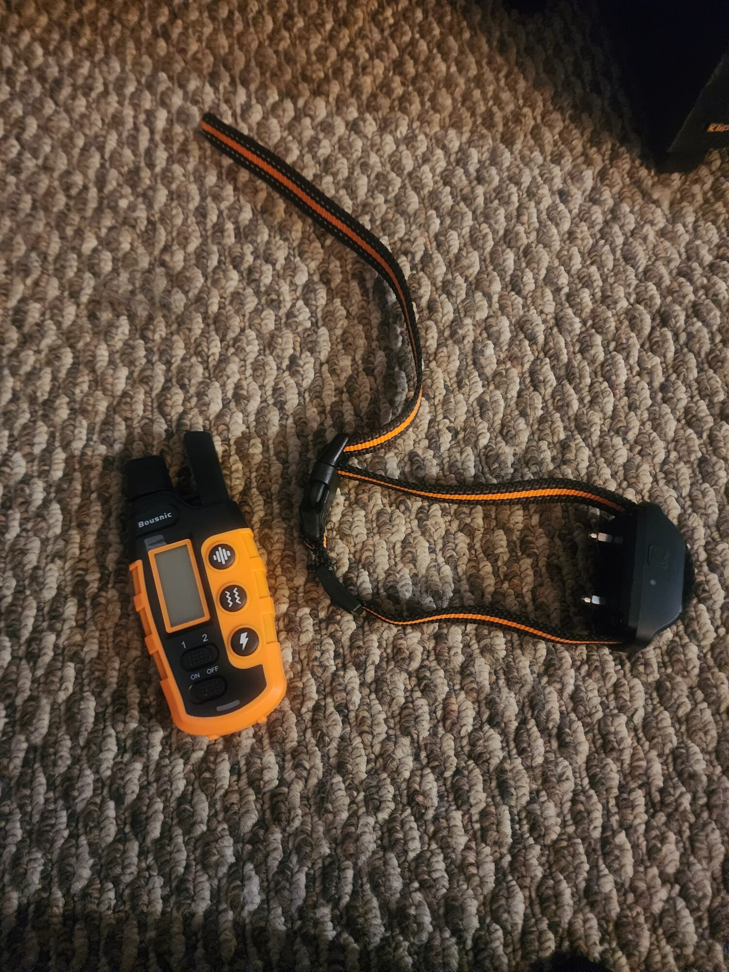 Shock collar 