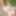 Miyu Usagi :: If My Girlfriend Is Miyu Usagi - CARIBBEANCOM #3