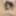 Sexdoll Gina t the toilet #22