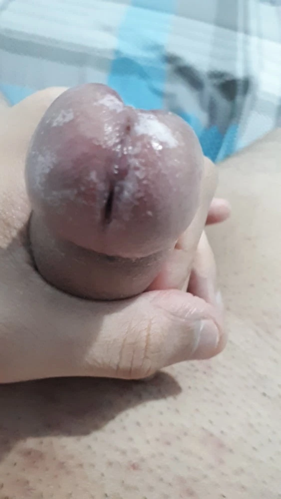 Wet Glans Penis #2