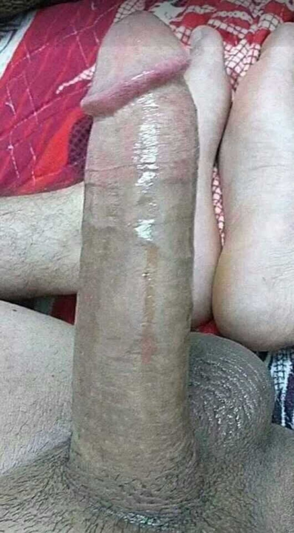 My have big dick can fuck your pussy #2