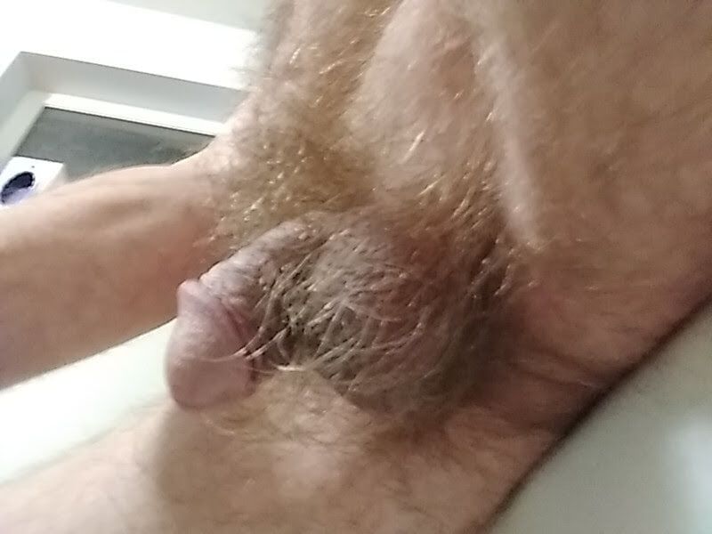 Hairy cock #6