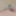 Daily duty of the naked slave March 28th, 2024 #2