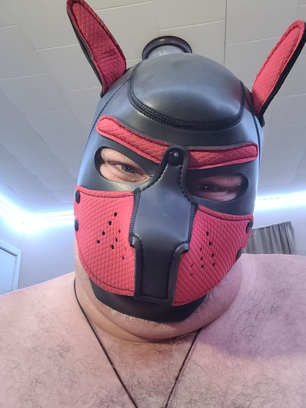 Woof! Masked Set #22