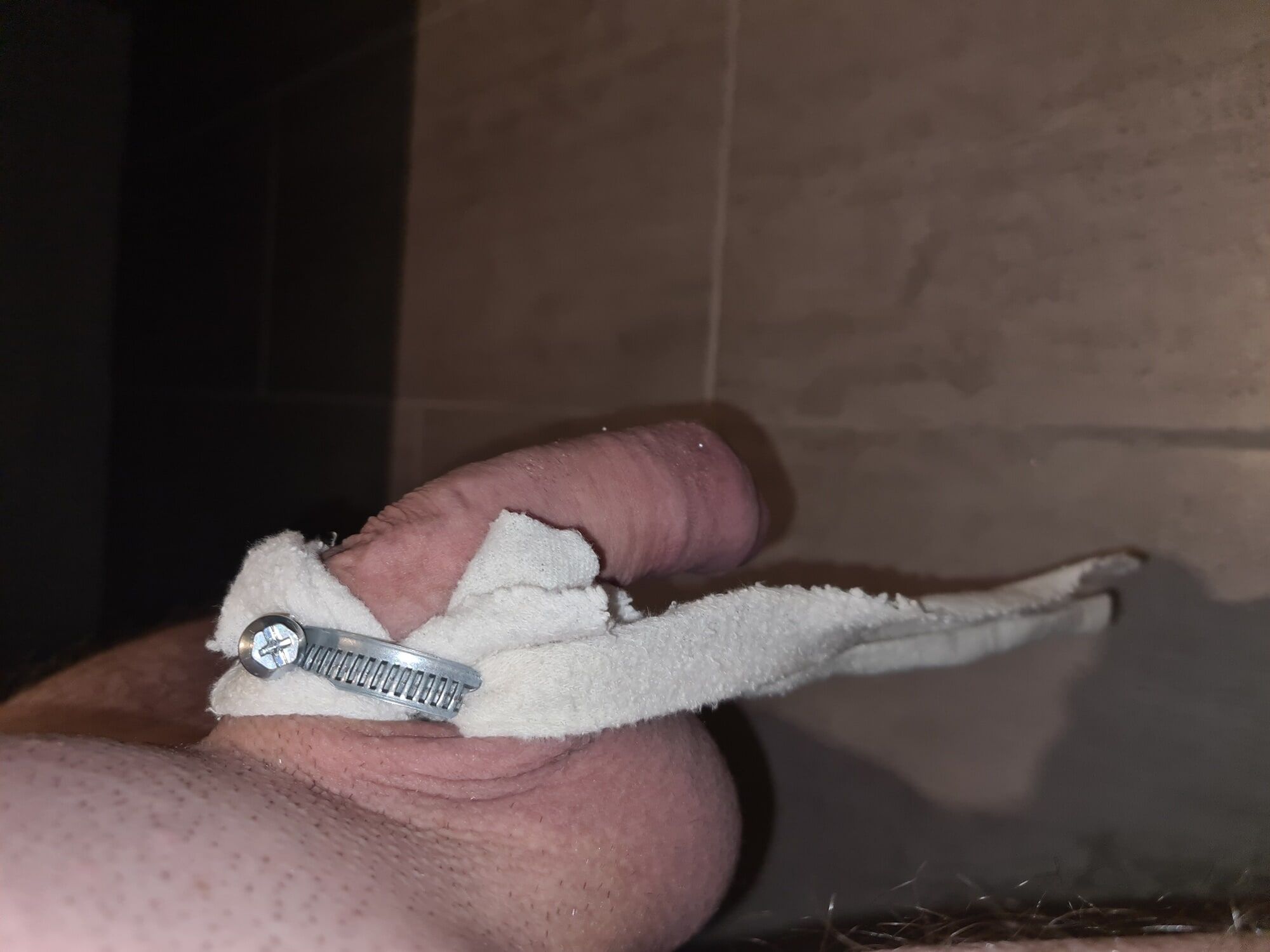 Penis banding session with hoseclamp #6