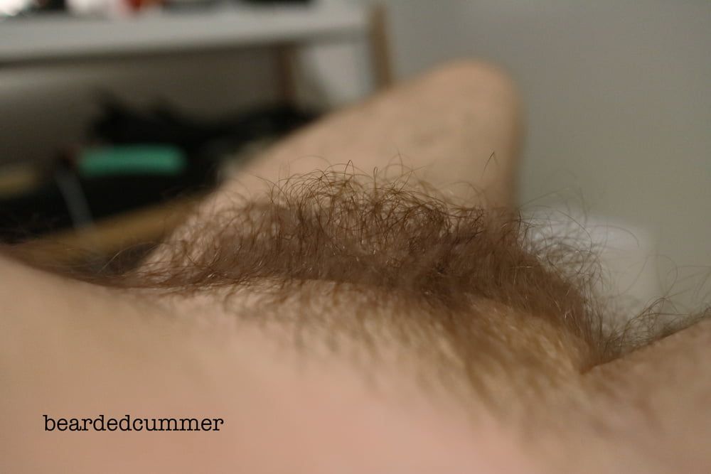 Hairy Bear shows off pits, chest, cock #2