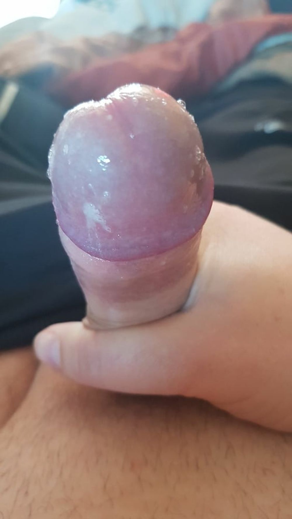 Precum #9