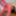 Shooting Oktober 2025 #8