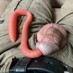 Large Worm In My Penis