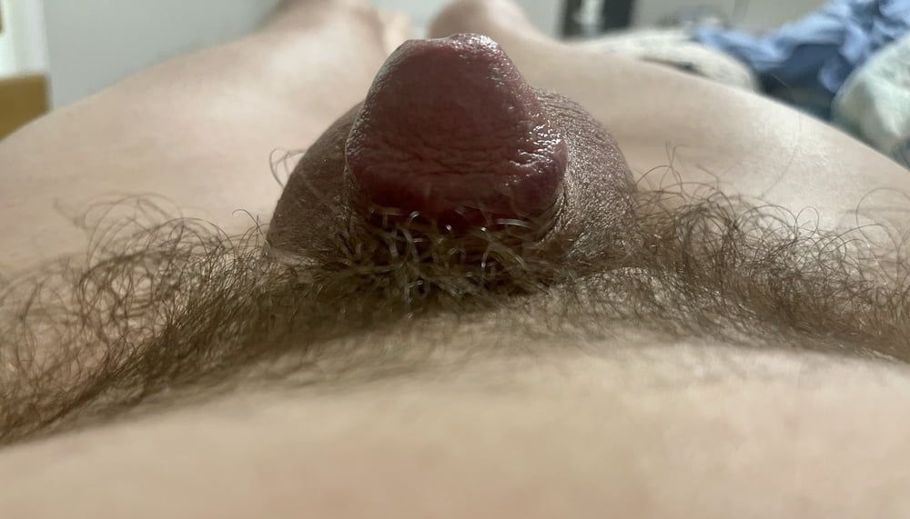 1 inch micropenis #7
