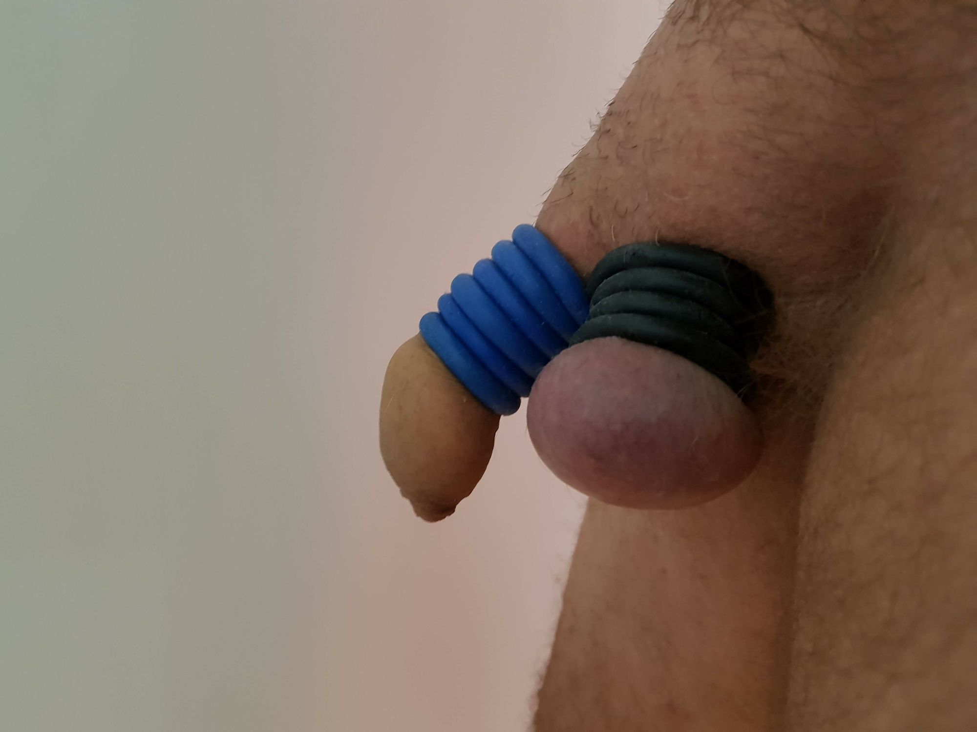 My cock for you