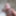 セクシーな写真撮影