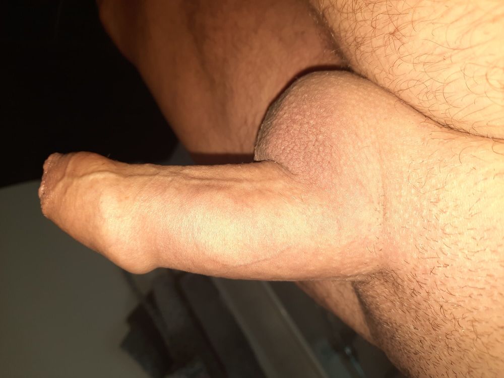 Horny cock 