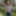 Ashley Adderly Free Photos